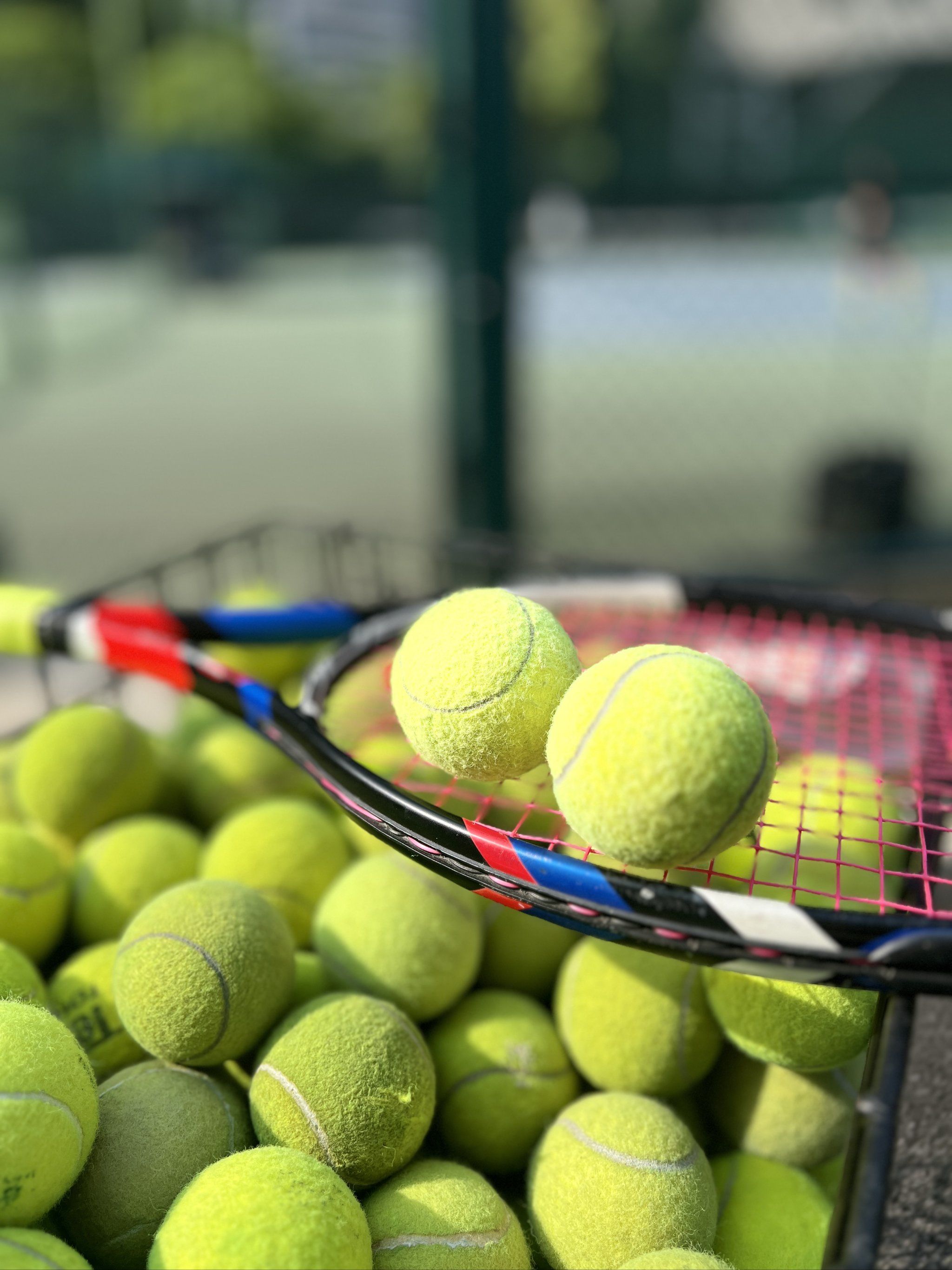 凭借出色的 凭借出色的