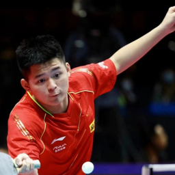 中逐步确立 中逐步确立